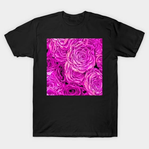 Bright Pink Roses T-Shirt by Klssaginaw